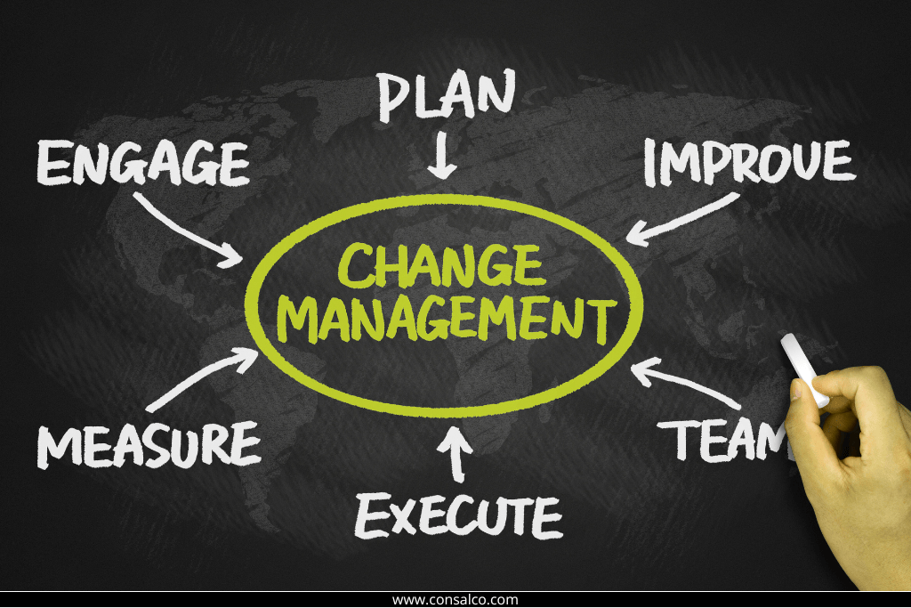 Change Management bei IT-Projekten-consalco.